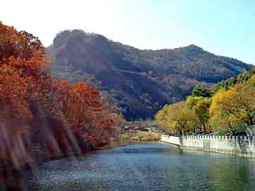 澳门二四六天天彩图库，求租空压机